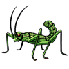 1526-green-stick-bug.png