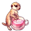 1755-blossom-meerlatte.png