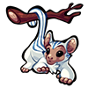 2244-wintermint-monkane.png