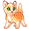 2252-golden-tabby-kitkat.png
