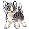 2253-silver-tabby-kitkat.png