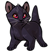 2254-midnight-kitkat.png