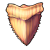 104-shark-tooth.png