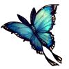 325-moon-butterfly.png