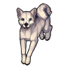 452-white-doge.png