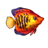 603-striped-angelfish.png