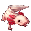 605-pink-axolotl.png