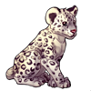 626-snow-leopard-cub.png