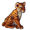 627-tiger-cub.png