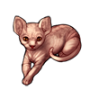 718-pink-sphynx-cat.png