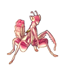 2111-rose-mantis.png