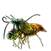 2500-mantis-shrimplet.png