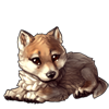 2608-timber-wolf-cub.png