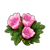 3079-bashful-blossoms.png