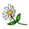 3174-lost-daisy.png