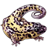 3408-leopard-gecko.png