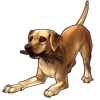 3567-yellow-labrador.png