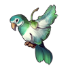 3577-parrot-bird-bloom.png