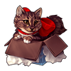 3588-maine-coon-cat-in-the-box.png