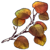 3788-twig-of-an-ancient-aspen.png