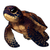 3921-cave-sea-tortle.png