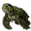 3924-ancient-sea-tortle.png