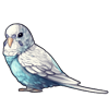 4215-sky-blue-spangle-budgie.png