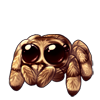 4244-tan-jumping-spider.png