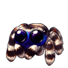 4246-striped-jumping-spider.png