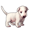4321-white-bully-pup.png