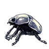 4448-silver-scarab.png