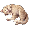 5168-cat.png