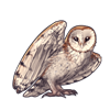 5173-natural-barn-owl.png