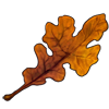 5491-post-oak-leaf.png