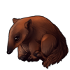 5531-brown-anteater-pup.png