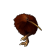 5609-classic-kiwi.png