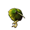 5610-marimo-kiwi.png