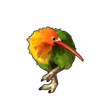 5611-lovebird-kiwi.png