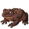 5766-peanut-chocolate-frog.png