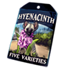 5990-hyenacinth-seed-packet.png