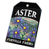 6225-aster-seed-packet.png
