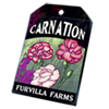 6226-carnation-seed-packet.png