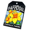 6227-daffodil-seed-packet.png