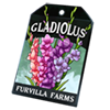 6229-gladiolus-seed-packet.png