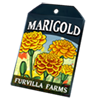 6232-marigold-seed-packet.png