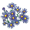 6249-aster.png
