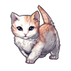 6484-ginger-munchkitten.png