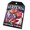 6786-serpenia-seed-packet.png