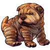 6895-brown-shar-pup.png