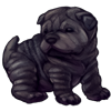 6896-black-shar-pup.png